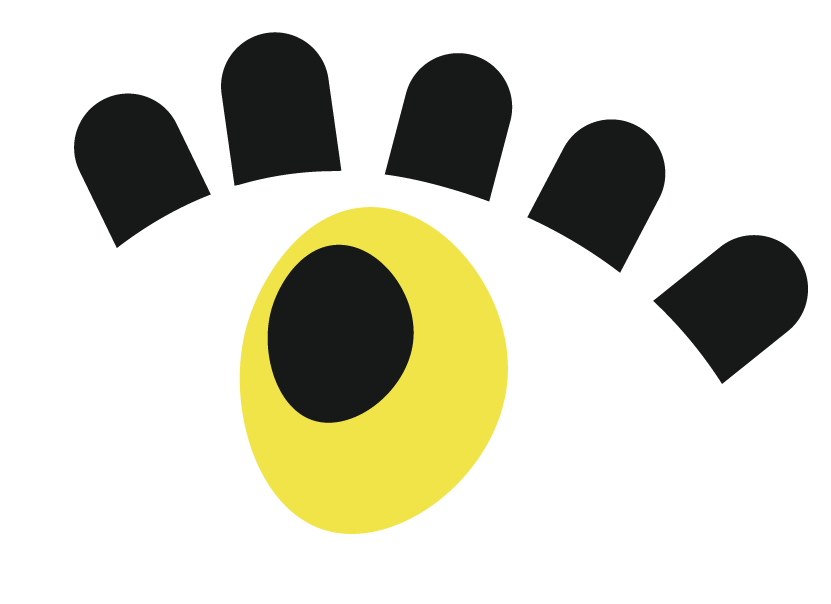 https://www.temanawa.co.nz/wp-content/uploads/2024/06/Mystery-Eye-Illustration.png