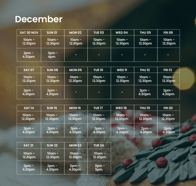 timetable showing days and times Santa will be available for visits at te manawa museum