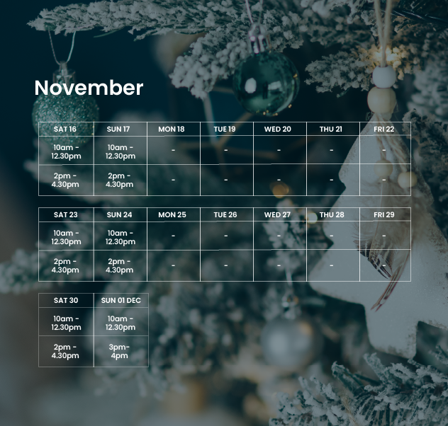 timetable showing days and times Santa will be available for visits at te manawa museum in November