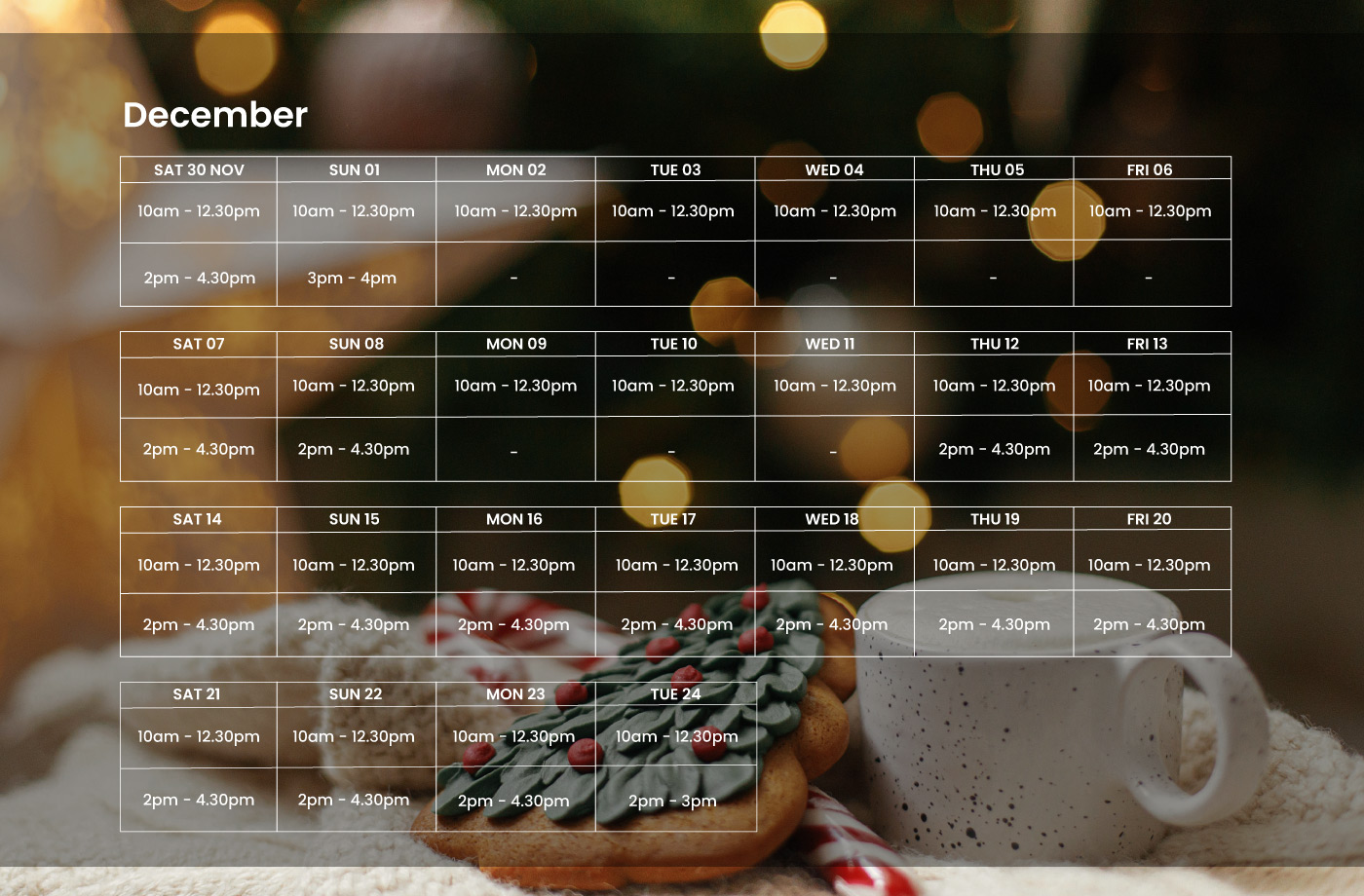 timetable showing days and times Santa will be available for visits at te manawa museum