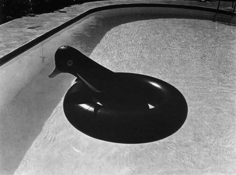 Black and white art photograph of an object resembling a Penguin